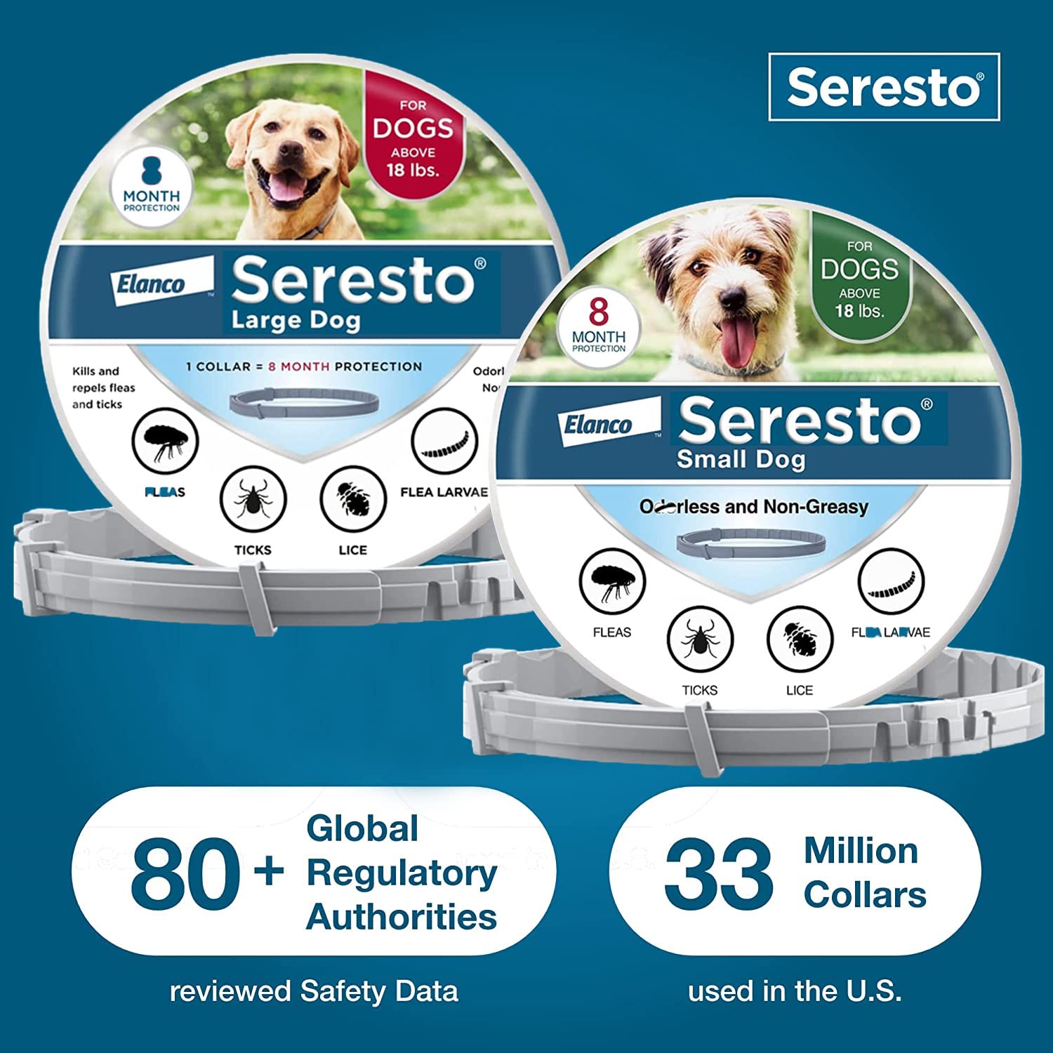 Seresto Flea and Tick Collar for Dogs - 8 Month Protection (1 Large + 1 Small Dog Collar) | Waterproof, Odorless Flea Treatment for Indoor & Outdoor Use