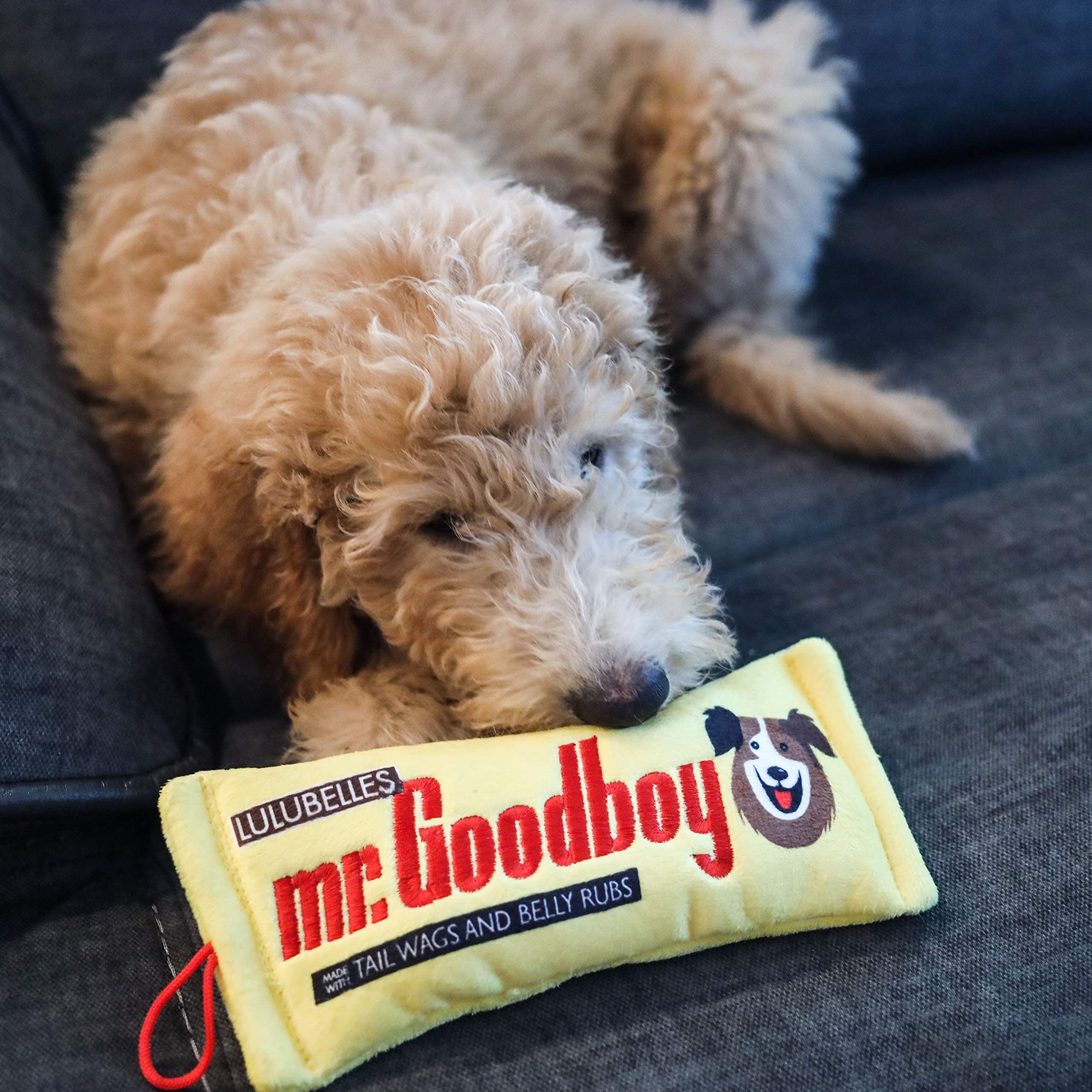 Funny Squeaky Dog Toy - Huxley & Kent Mr. Goodboy Large Durable Chew Toy with Squeaker | Safe Interactive Play for Big Dogs | Perfect Gift for Pet Lovers & Great for Fetch, Training & Cuddling