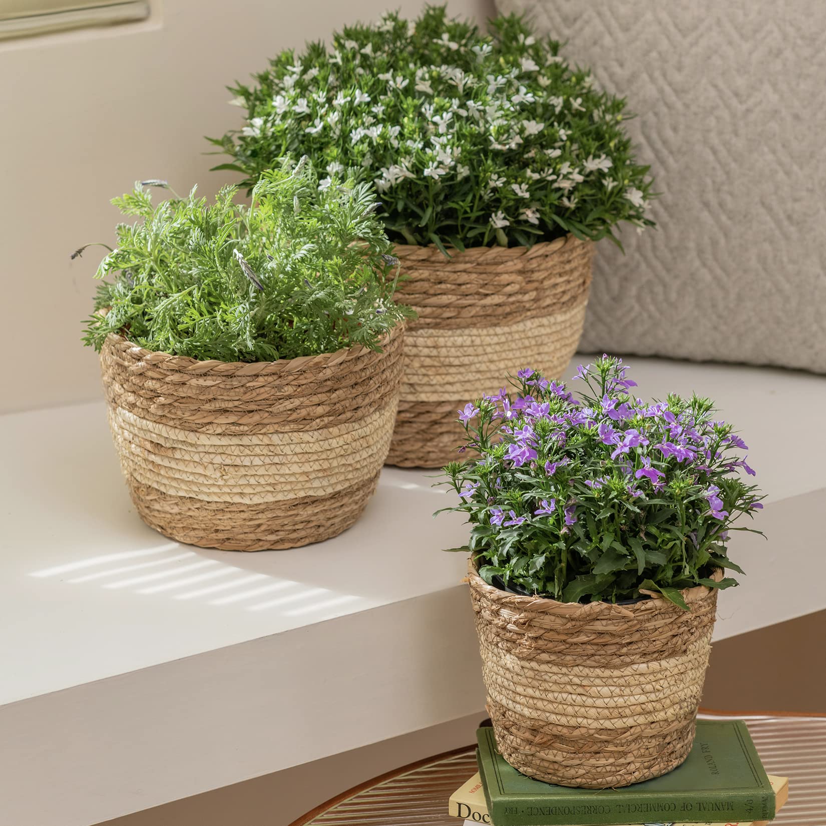 LA JOLIE MUSE 10 Inch Seagrass Planter Basket - Indoor/Outdoor Flower Pot Cover, Natural Beige Plant Container for Home Decor, Patio, Garden & Boho Style Decorations