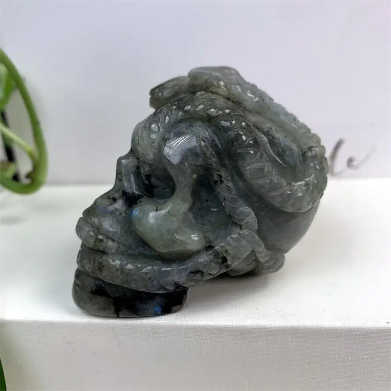6cm Natural Labradorite Crystal Snake Skull Carving - Healing Energy Stone for Meditation & Home Decor | Unique Halloween Gift & Spiritual Decor (1 Piece) | Perfect for Altars, Crystal Collections & Gothic Decorations