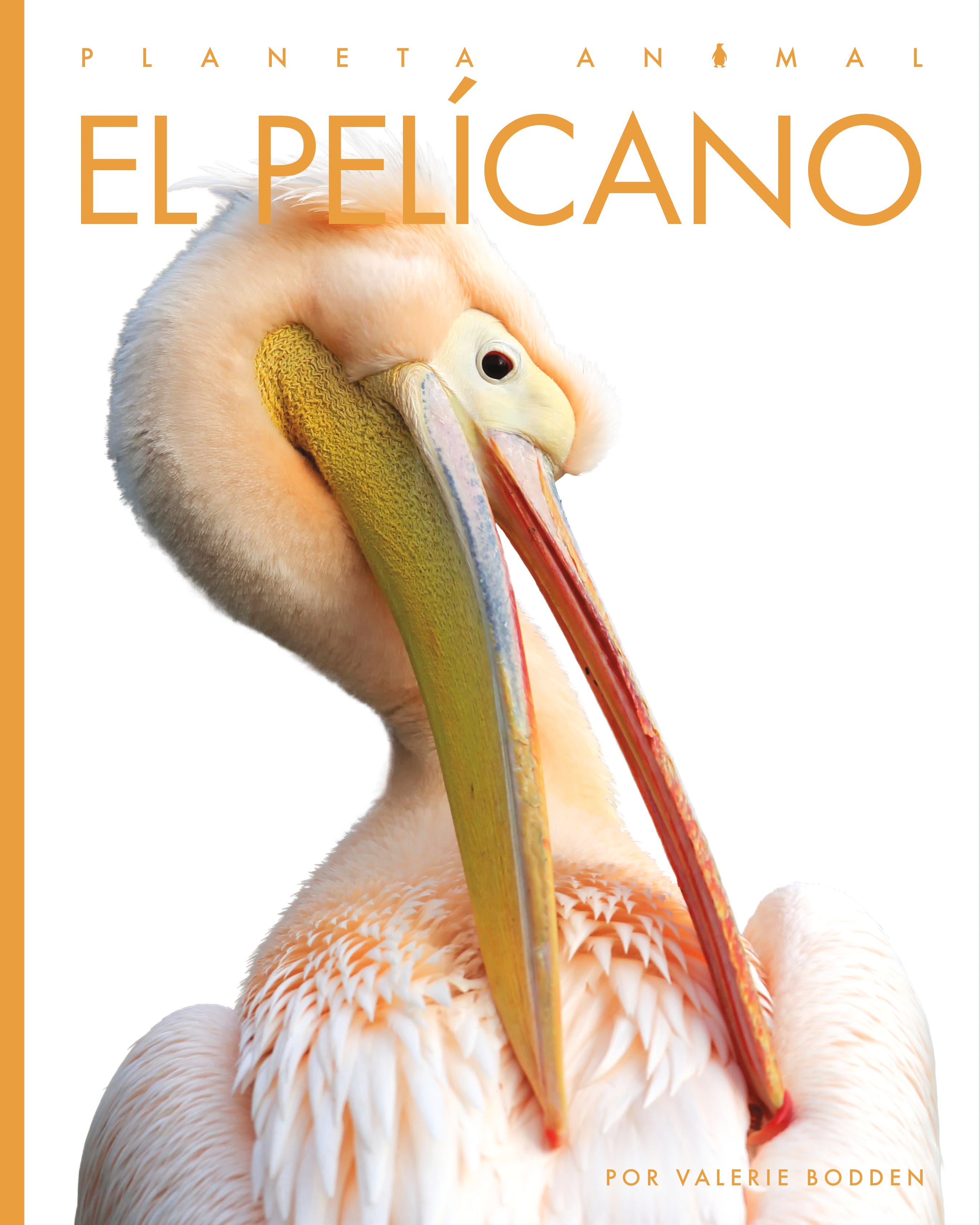 El Pelicano 9781640265905 - Bilingual Children's Book in English and Spanish - Perfect for Storytime, Classroom Learning & Bilingual Education