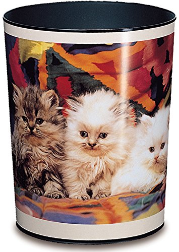 Katzen