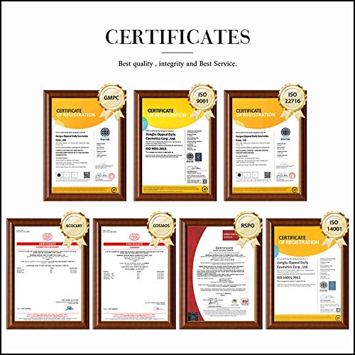 OPPEAL EXP Series | 200 Pack 1 oz Bulk Hotel Amenities Kit - Includes Shampoo & Conditioner 2-in-1, Body Wash, Lotion & Soap Bar | Perfect for Hotels, AirBnB, VRBO & Vacation Rentals | Travel-Sized Toiletries for Guests