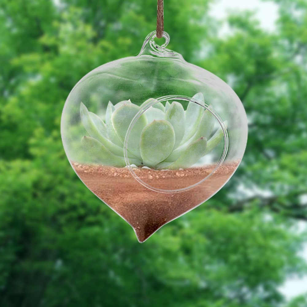 Glass Hanging Planter - Teardrop-Shaped Air Plant Pot & Terrarium Vase for Succulents, Herbs, Flowers | Perfect for Office Decor, Home Garden, Indoor & Outdoor Hanging Plants
