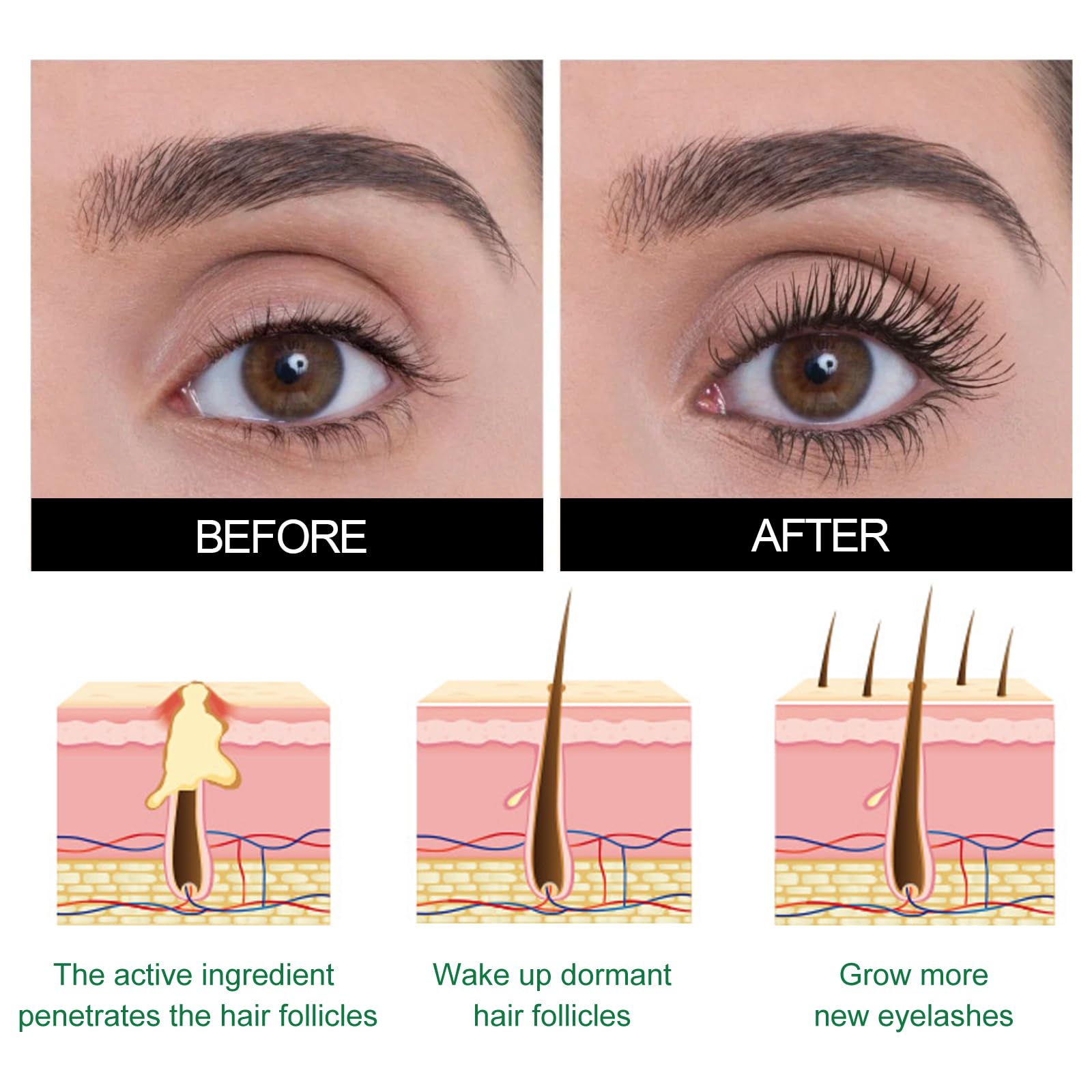 Lashelixir Eyelash Growth Serum with Organic Castor Oil - Rapid Lash Strengthening & Lengthening Treatment for Thicker, Fuller Lashes - Perfect for Daily Use, Special Occasions, and Sensitive Eyes
