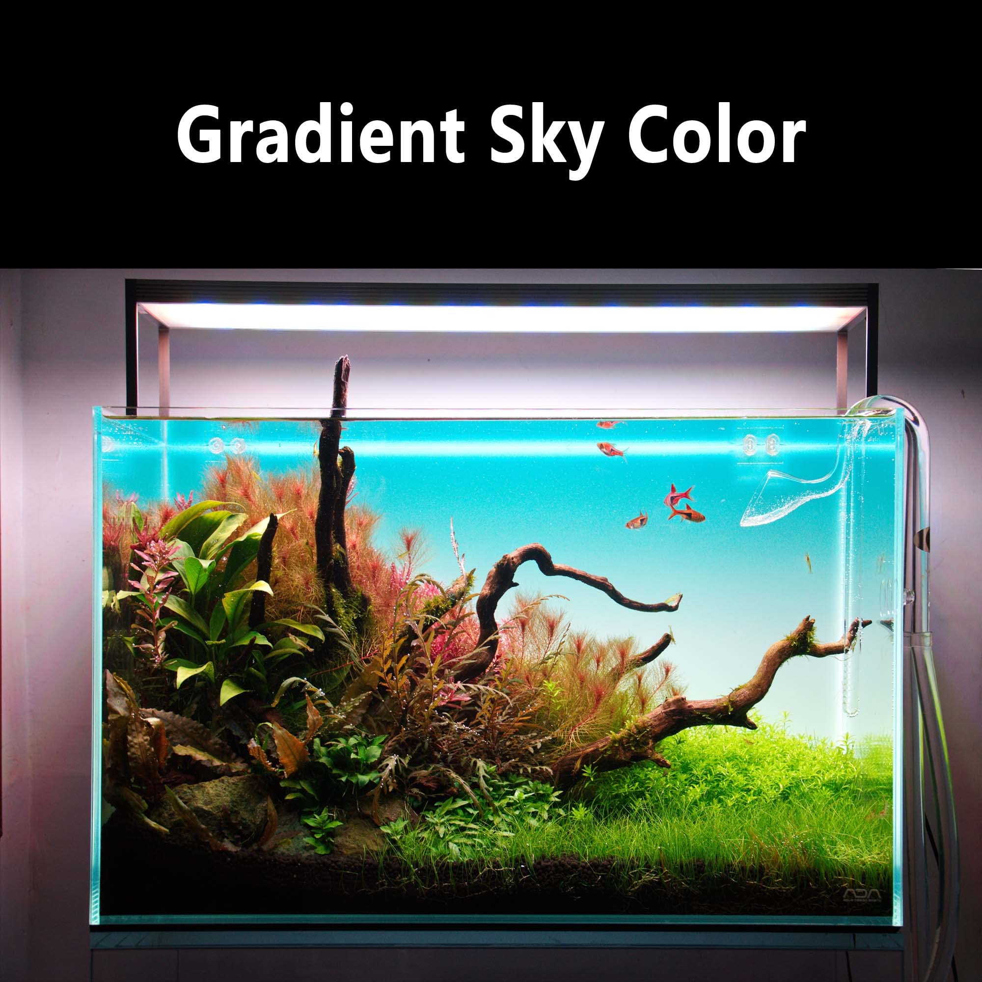 RGB Aquarium Backlight - Ultra-Thin 6mm Gradient Panel for Rimless Fish Tanks | Home Decor