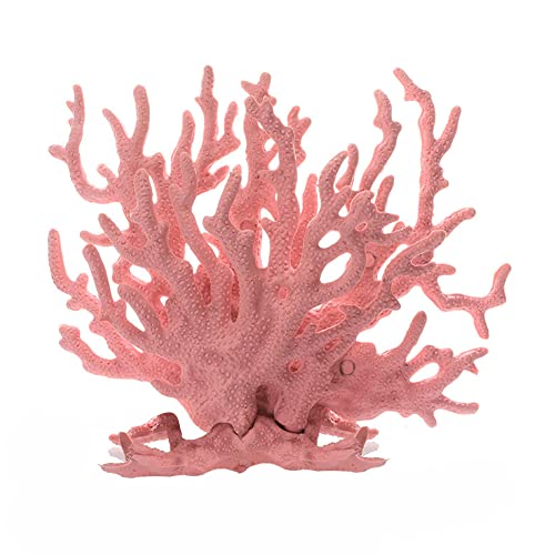 Ct107-pvc Pink