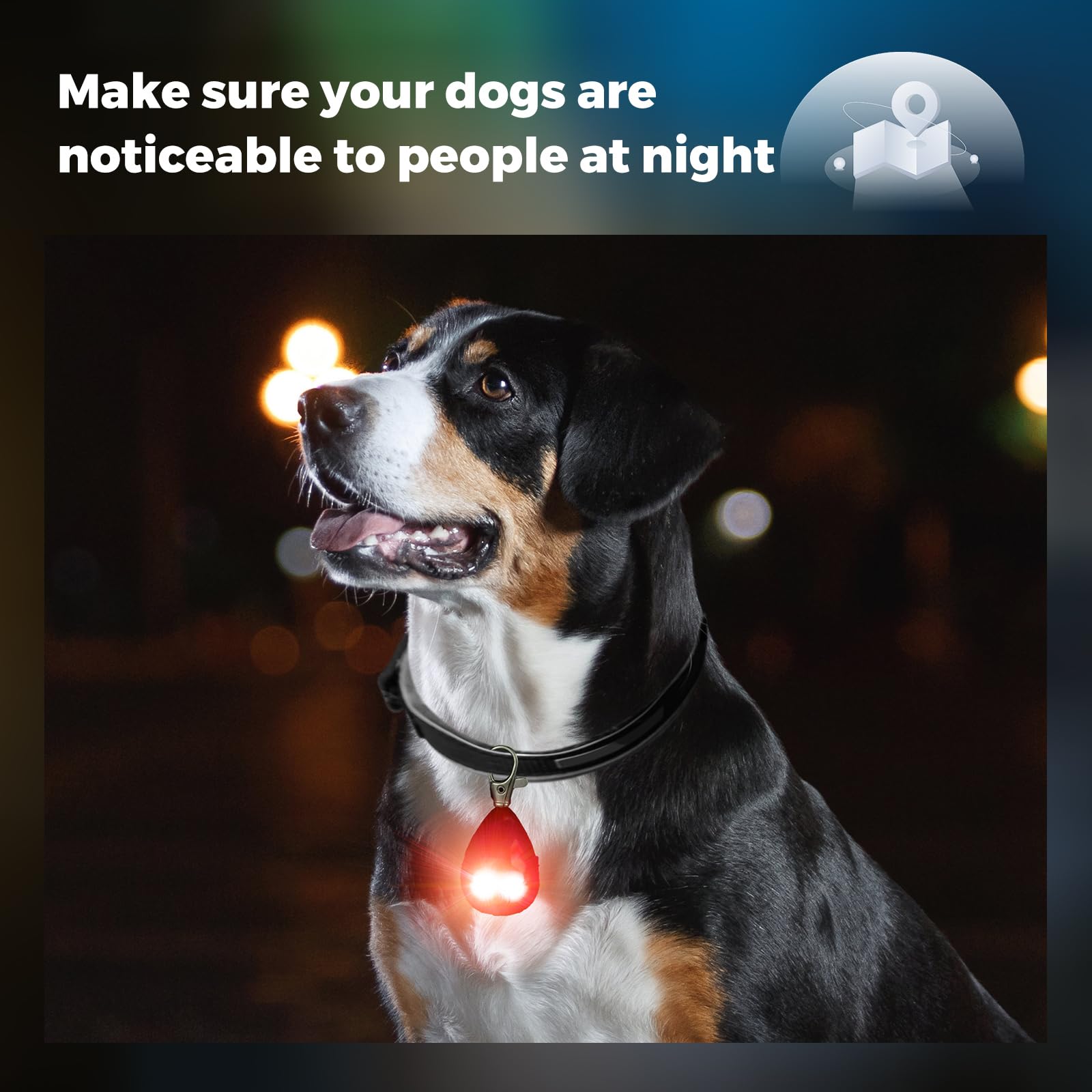 LEIFIDE Rechargeable LED Dog Collar Lights - 4 Pack Waterproof Pet Safety Lights for Night Walking, Running & Camping