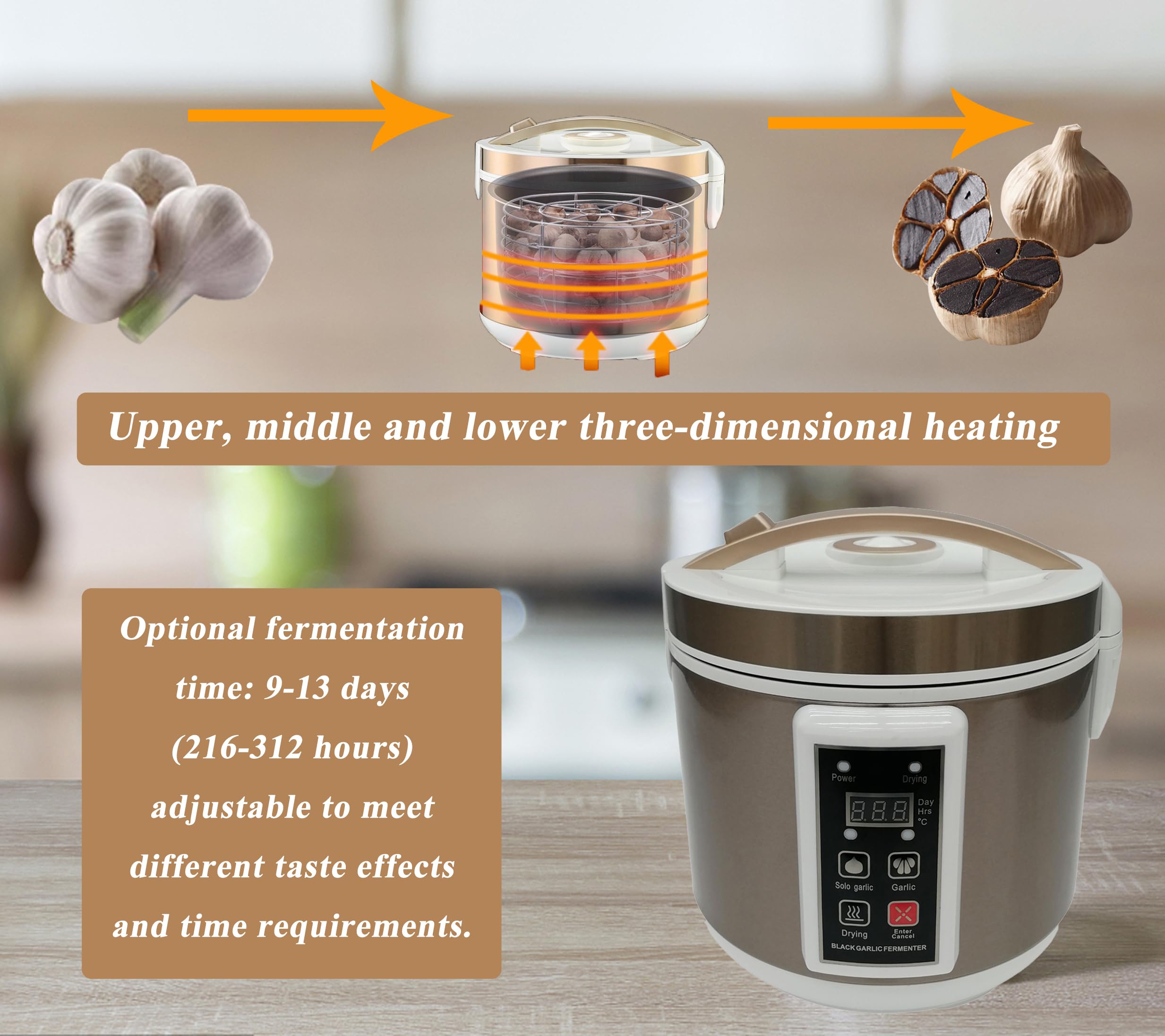TECHTONGDA 6L Black Garlic Fermenter - Full Automatic Intelligent Garlic Cooker with 3D Heating, Adjustable 9-13 Day Fermentation (216-312 Hours) - Perfect for Home Kitchens & Gourmet Black Garlic Making