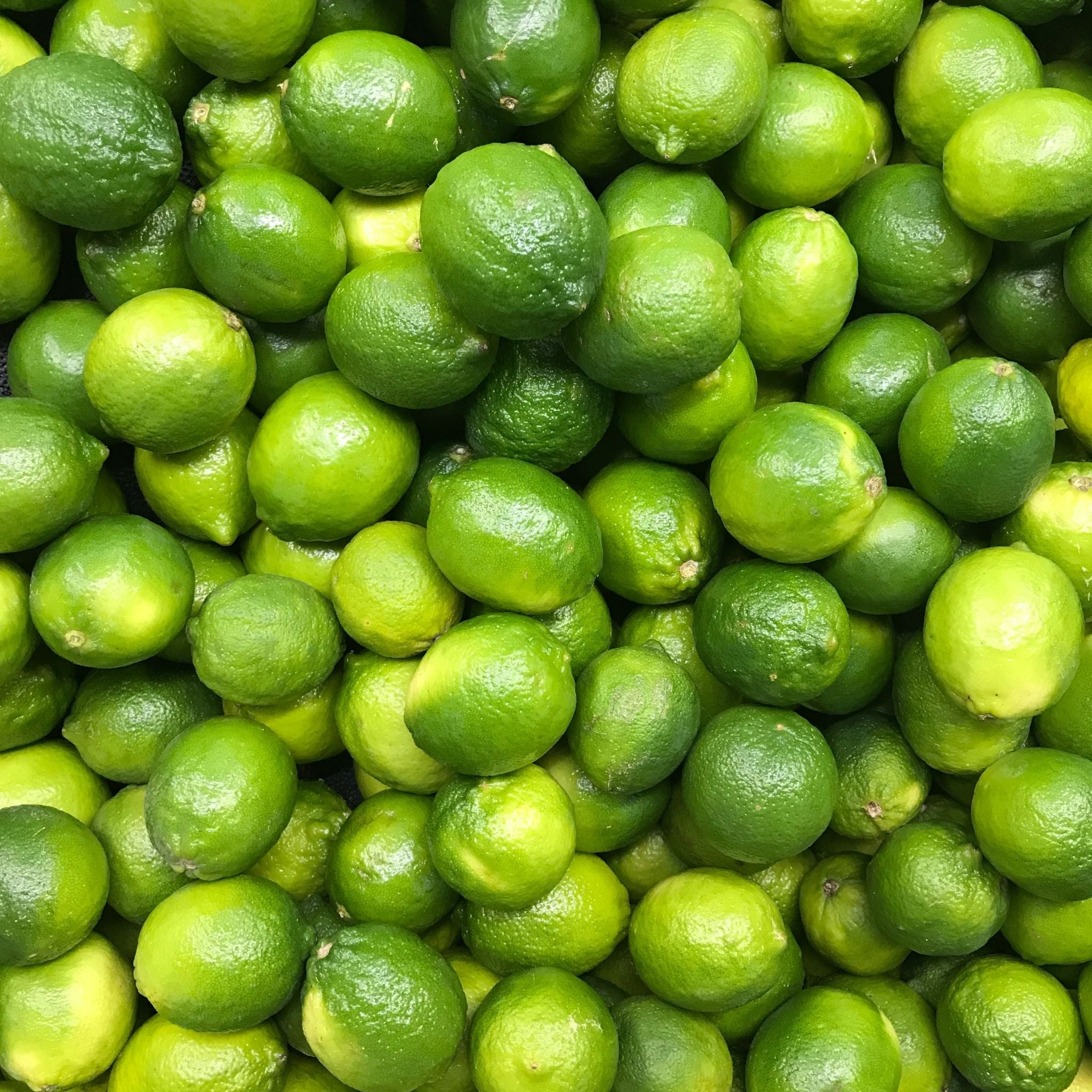 Pure Persian Lime Essential Oil - 100% Natural, Cold Pressed for Aromatherapy, Diffusers & DIY Skincare