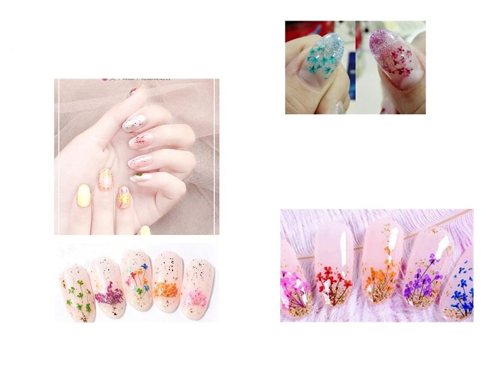 1 Box Dried Flowers & Fruit Slices for Nail Art - 3D Dry Flower Nail Stickers, Colorful Natural Real Flower Nail Decals, Fimo Fruit Slices Charms - DIY Nail Art Supplies & Slime Accessories for Manicure, Pedicure, Scrapbooking & Craft Projects