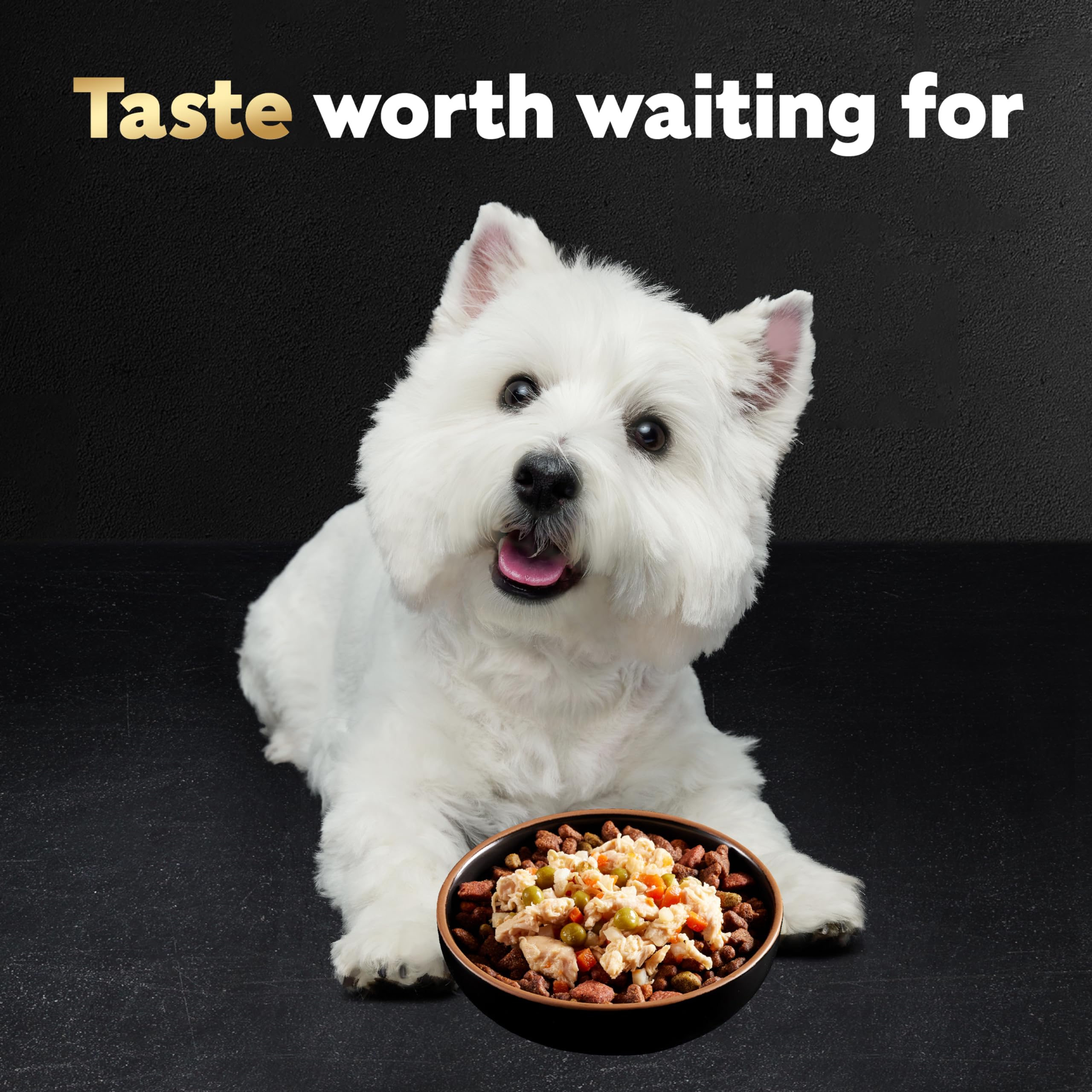 Premium Cesar Simply Crafted Wet Dog Food Topper Variety Pack - Chicken & Beef Flavors with Vegetables - Grain-Free, Natural Ingredients - 8 Trays (Pack of 2) - Perfect for Picky Eaters & Meal Enhancement