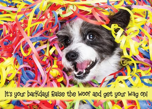 Raise the Woof