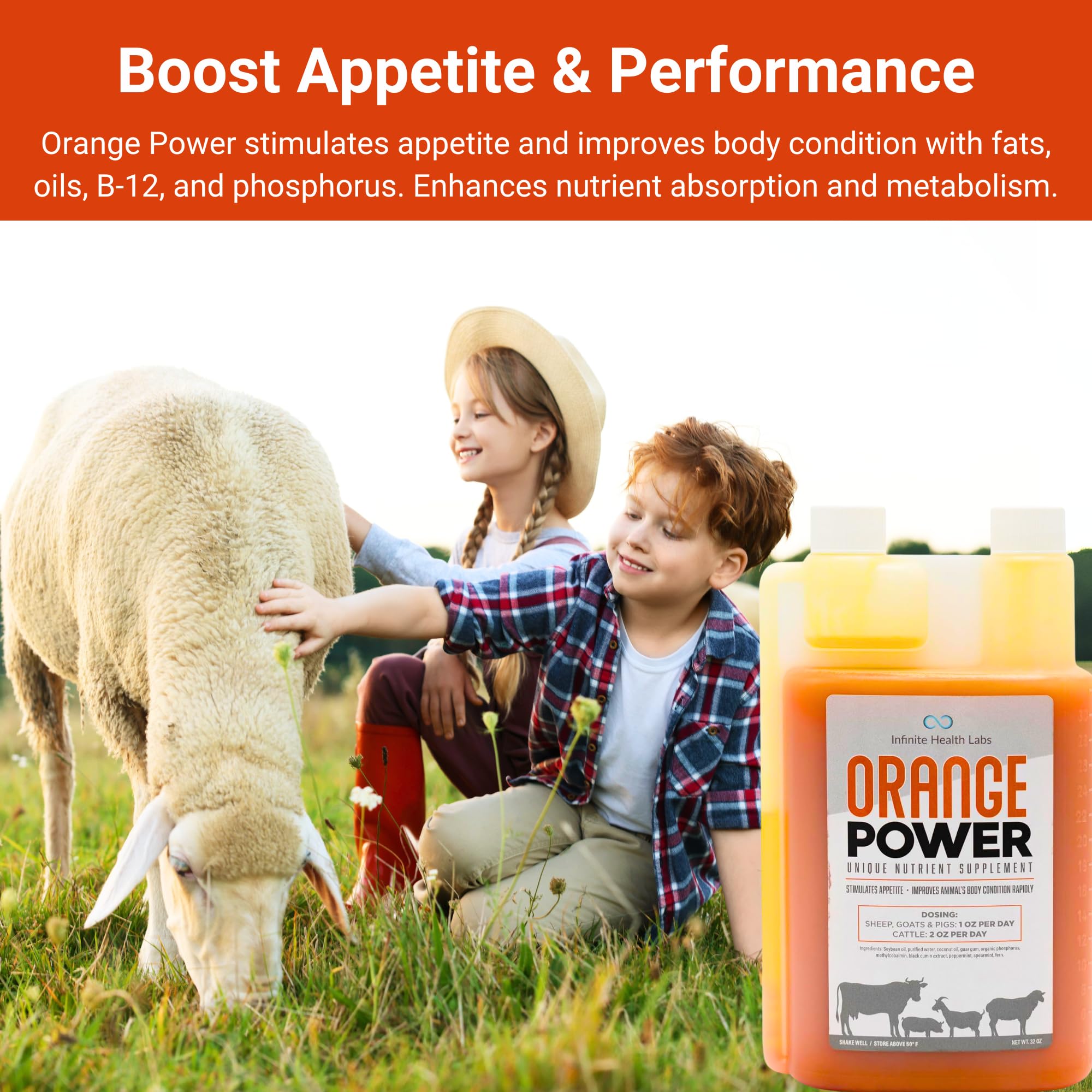 Premium Orange Power Nutrient Supplement for Show Cattle, Sheep, Goats & Pigs - Liquid Appetite Stimulant & Performance Booster with Vitamin B12 & Phosphorus (32 Fl Oz) - Ideal for Livestock Shows, Farm Animals & Veterinary Care