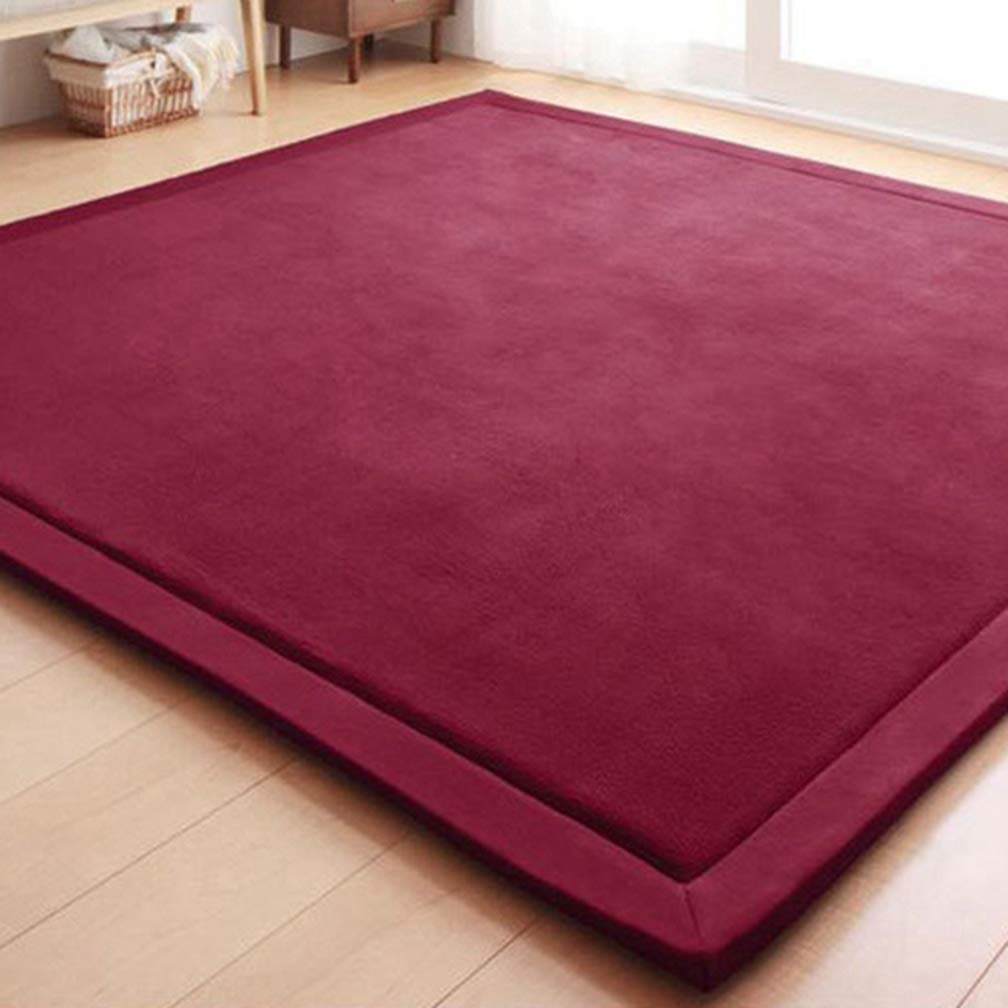 Premium Soft Coral Fleece Non-Slip Area Rug 5'x6' - Modern Rectangular Living Room & Bedroom Carpet for Kids Nursery, Home Decor - Indoor/Outdoor Use for Playroom, Dorm, Office & High Traffic Areas