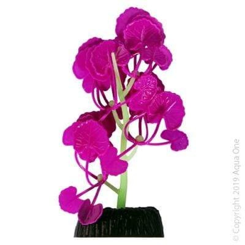 Aqua One Flexiscape Small Pennywort Purple Aquatic Plants 11.5cm - Perfect for Aquariums, Fish Tanks & Water Gardens