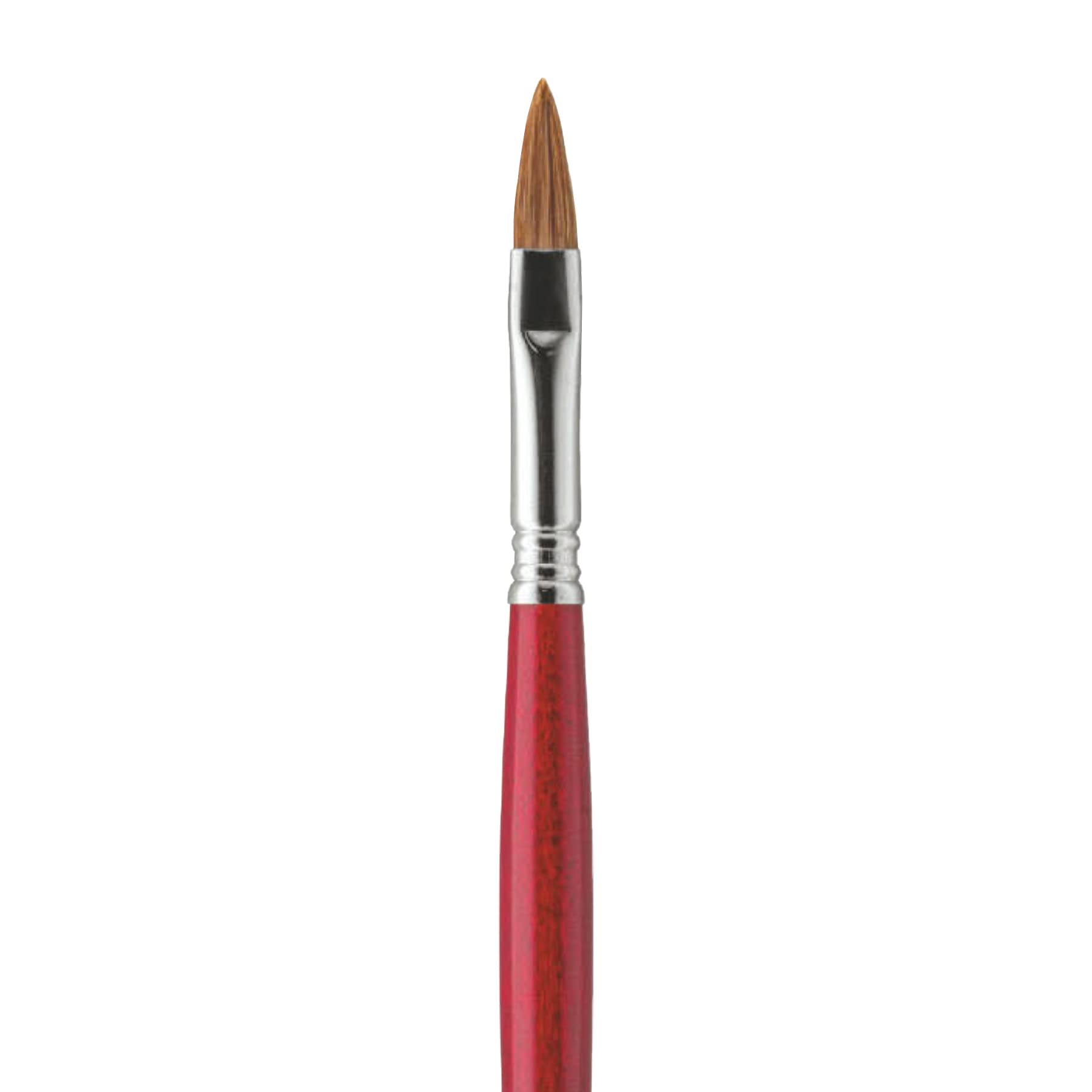 Escoda Bravo Series 3217 Professional Artist Paint Brush - Size 24 Filbert for Oil & Acrylic Painting - Premium Light Ox Hair Bristles - Perfect for Canvas, Portraits & Fine Art Details