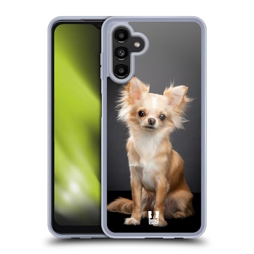 Sitting Chihuahua Dog