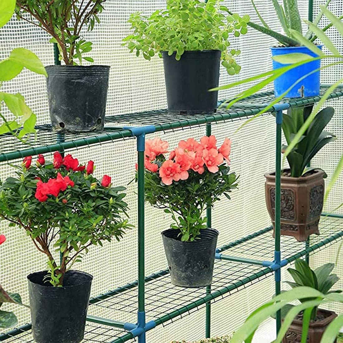 Sturdy Walk-In Greenhouse for Tomatoes, Vegetables, Fruits & Flowers - 142x71x195cm Reinforced Plastic Plant Shed with Durable Cover | Perfect for Backyard Gardening, Urban Farming & Year-Round Plant Protection
