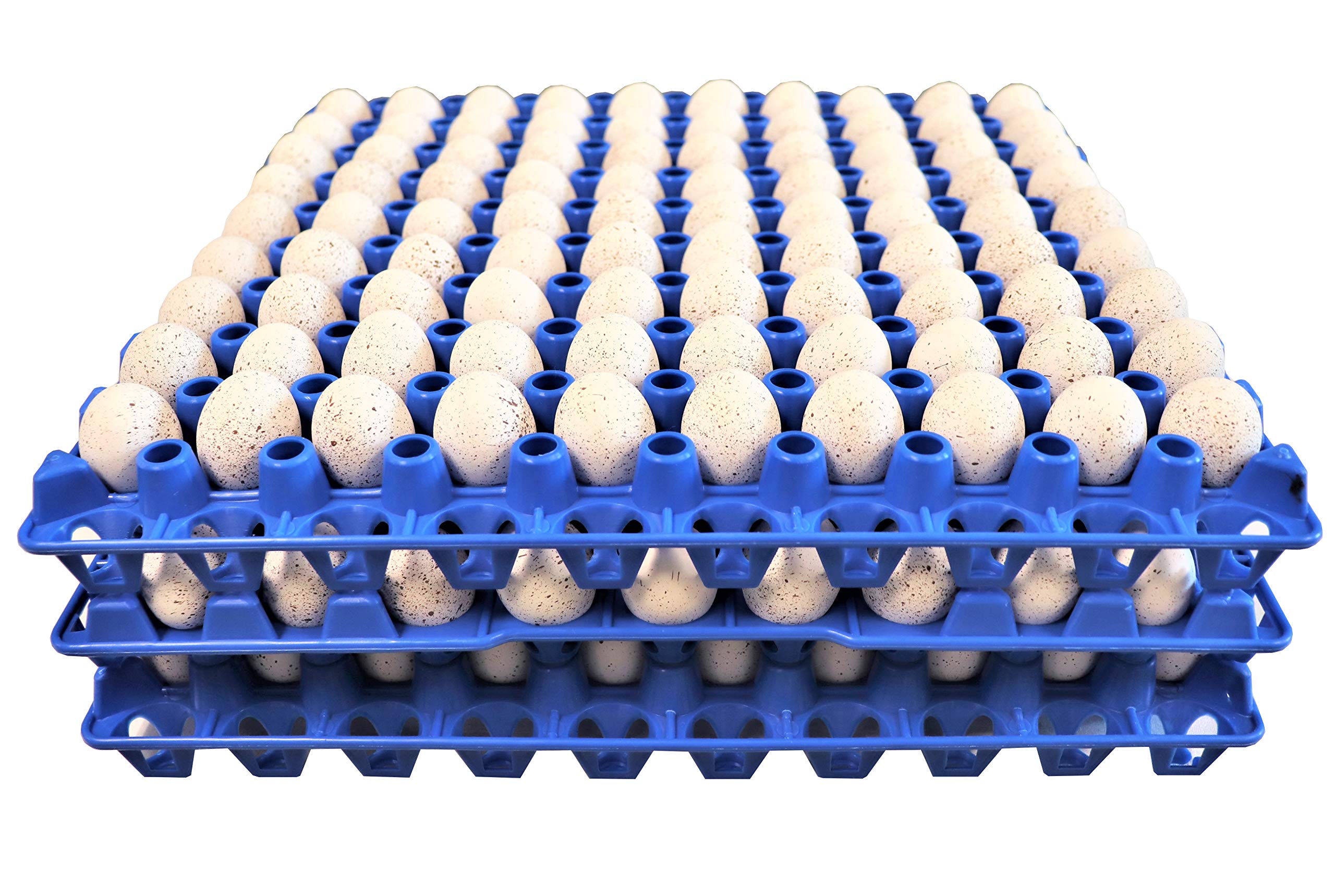 90 Egg Plastic Trays for Quail Pigeon Dove Birds - Durable Reusable Egg Cartons for Poultry Farm, Hatching & Bird Nesting - Perfect for Small Farms, Backyard Coops & Aviculture Enthusiasts