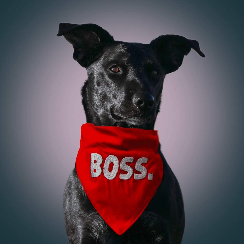 BOSS Dog Bandana & Scarf with Adjustable Collar - Tuxedo Style Pet Accessory for Large Dogs (Red, XL) - Perfect for Weddings, Parties & Special Occasions
