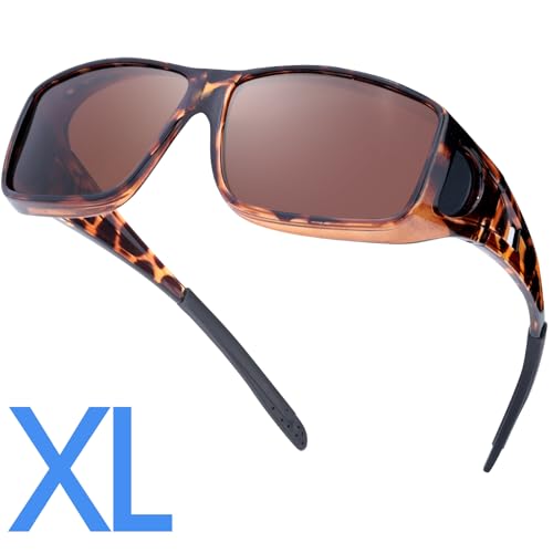B06 Tortoise | Brown