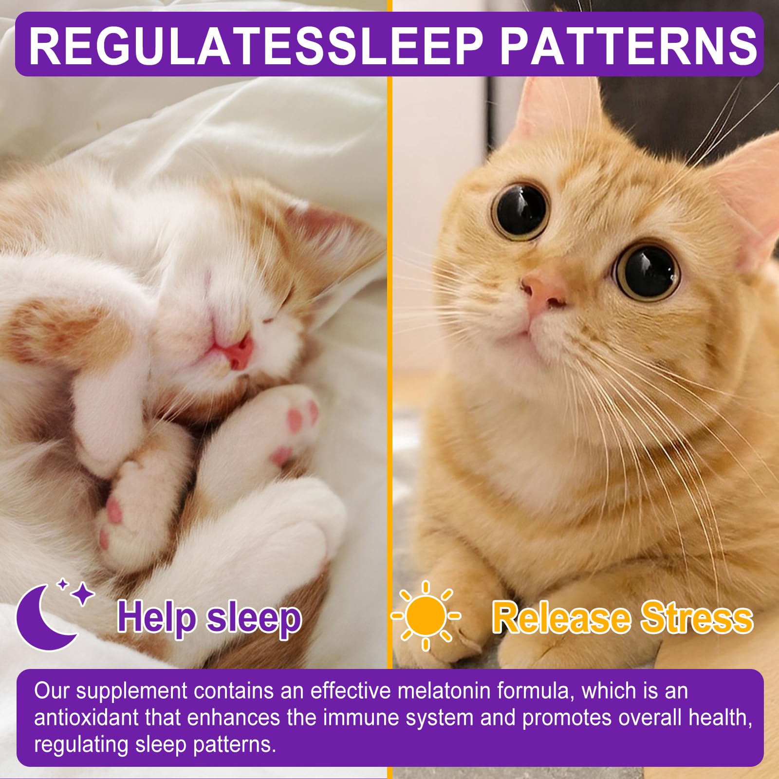 Veterinarian-Recommended Cat Melatonin for Anxiety Relief & Calming - Natural Sleep Aid for Cats to Support Restful Sleep - Perfect for Travel, Vet Visits & Stressful Situations (1 Count)