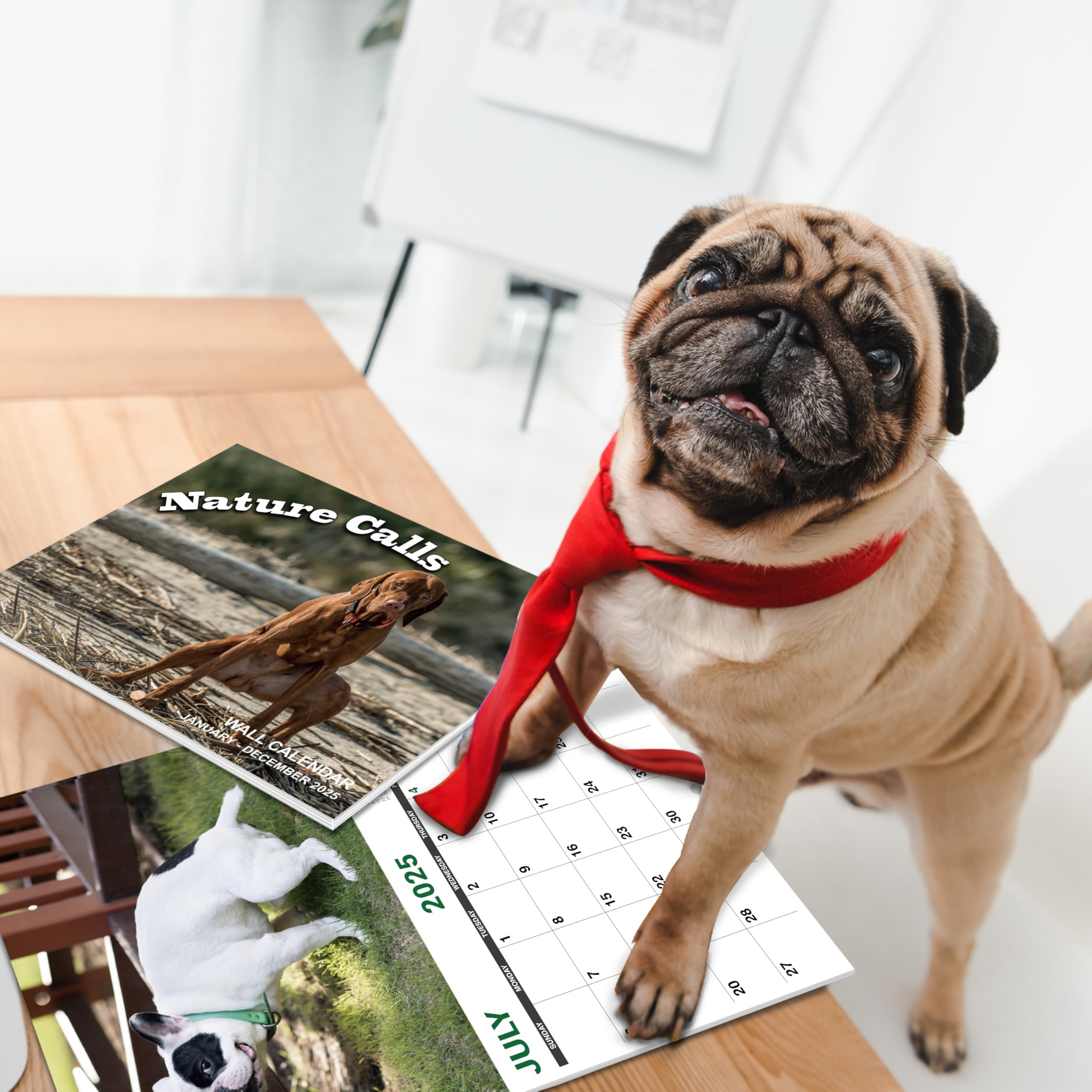 2025 Funny Pooping Dogs Wall Calendar - 11x17 Inch Jan-Dec Gag Gift for White Elephant, Office Humor & Dog Lovers - Perfect for Home, Office Decor & Unique Gift Giving