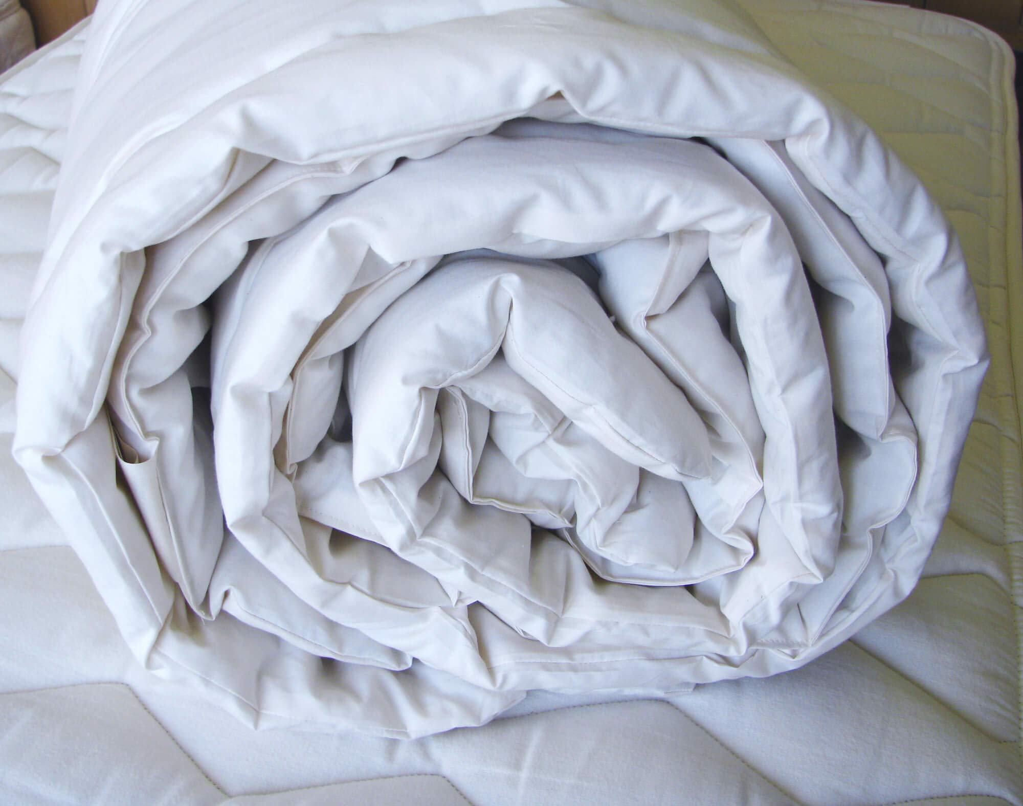 Holy Lamb Organics Cozy Buns Crib Baby Comforter - Soft Organic Cotton Blanket for Newborns & Infants - Perfect for Nursery, Stroller, and Bedtime Snuggles