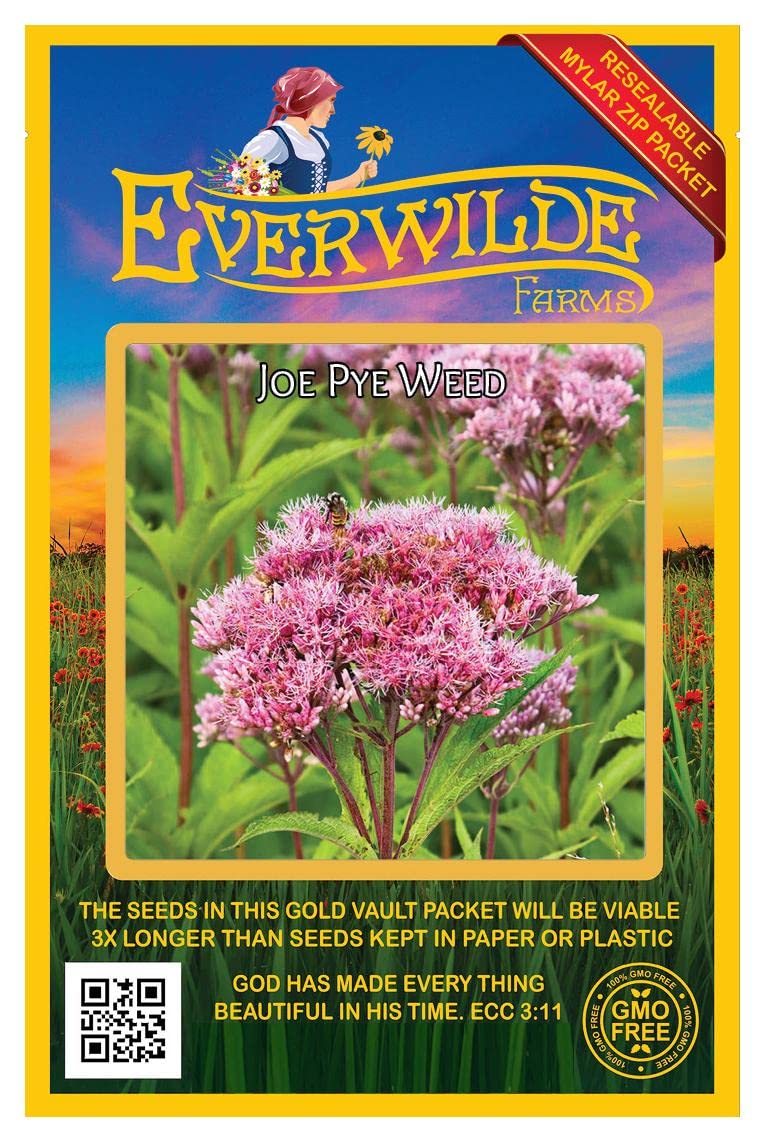 Everwilde Farms - 2000 Joe Pye Weed Native Wildflower Seeds - Gold Vault Jumbo Seed Packet for Pollinator Gardens & Natural Landscaping