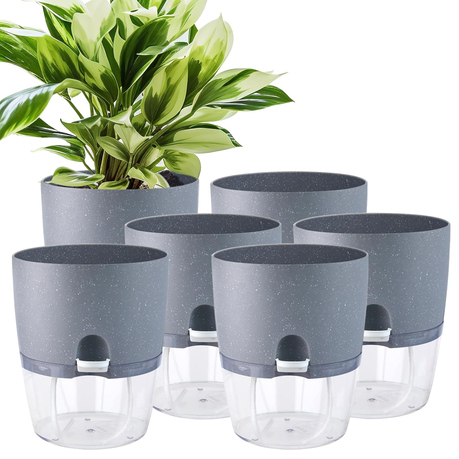 6 Pack Self Watering Plant Pots for Indoor Plants - 6 Inch Grey Plastic Flower Pots with Drainage Holes & Water Level Indicator, Perfect for African Violets, Herbs, Succulents & All Houseplants (Includes 1 Spray Bottle) - Ideal for Home, Office, Balcony & Garden Decor