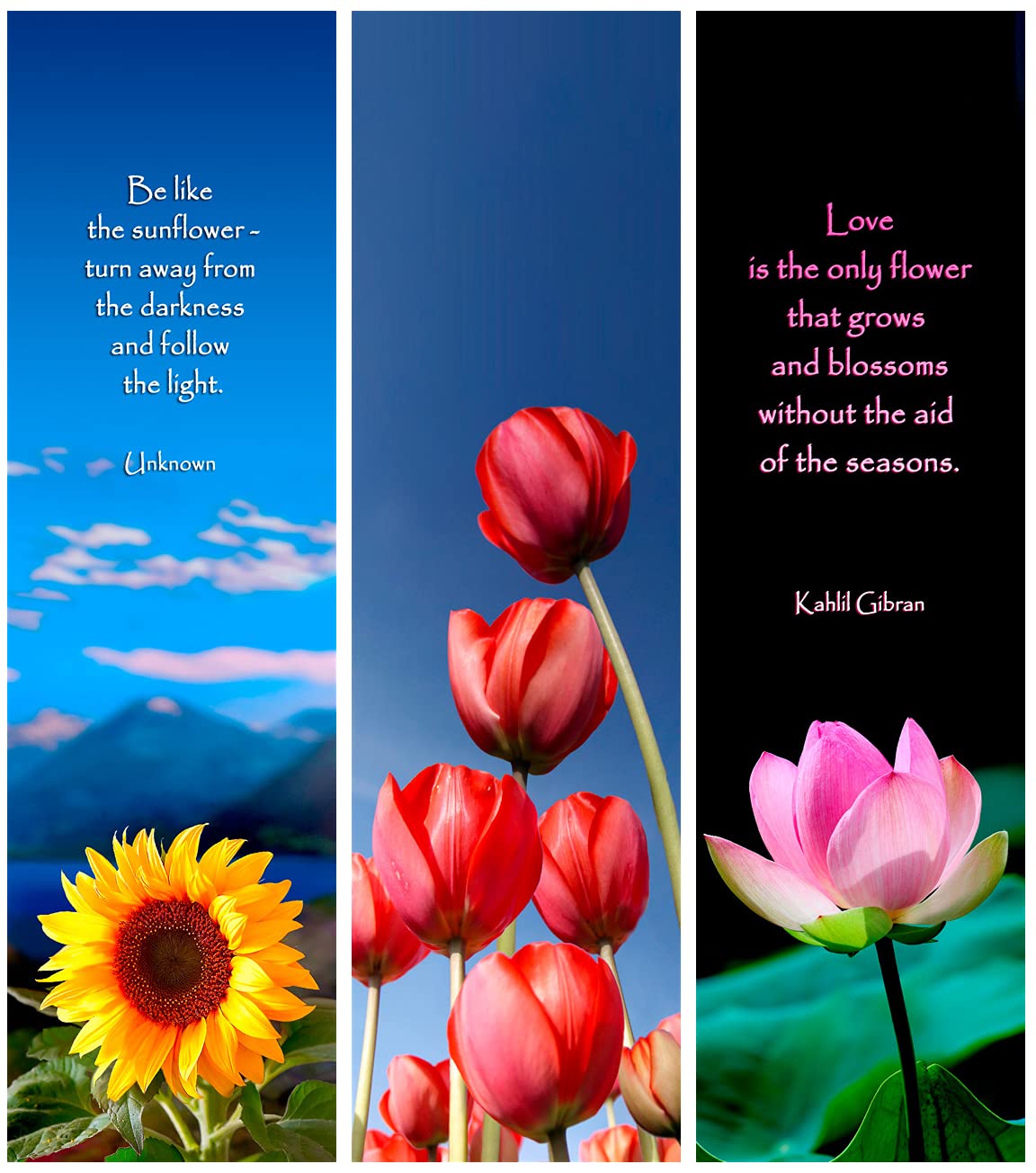 3D Lenticular Bookmarks Set - Tulips, Sunflowers & Lotus Flowers with Cloth Tassel | Unique Gifts for Book Lovers, Reading Accessories for Students & Teachers