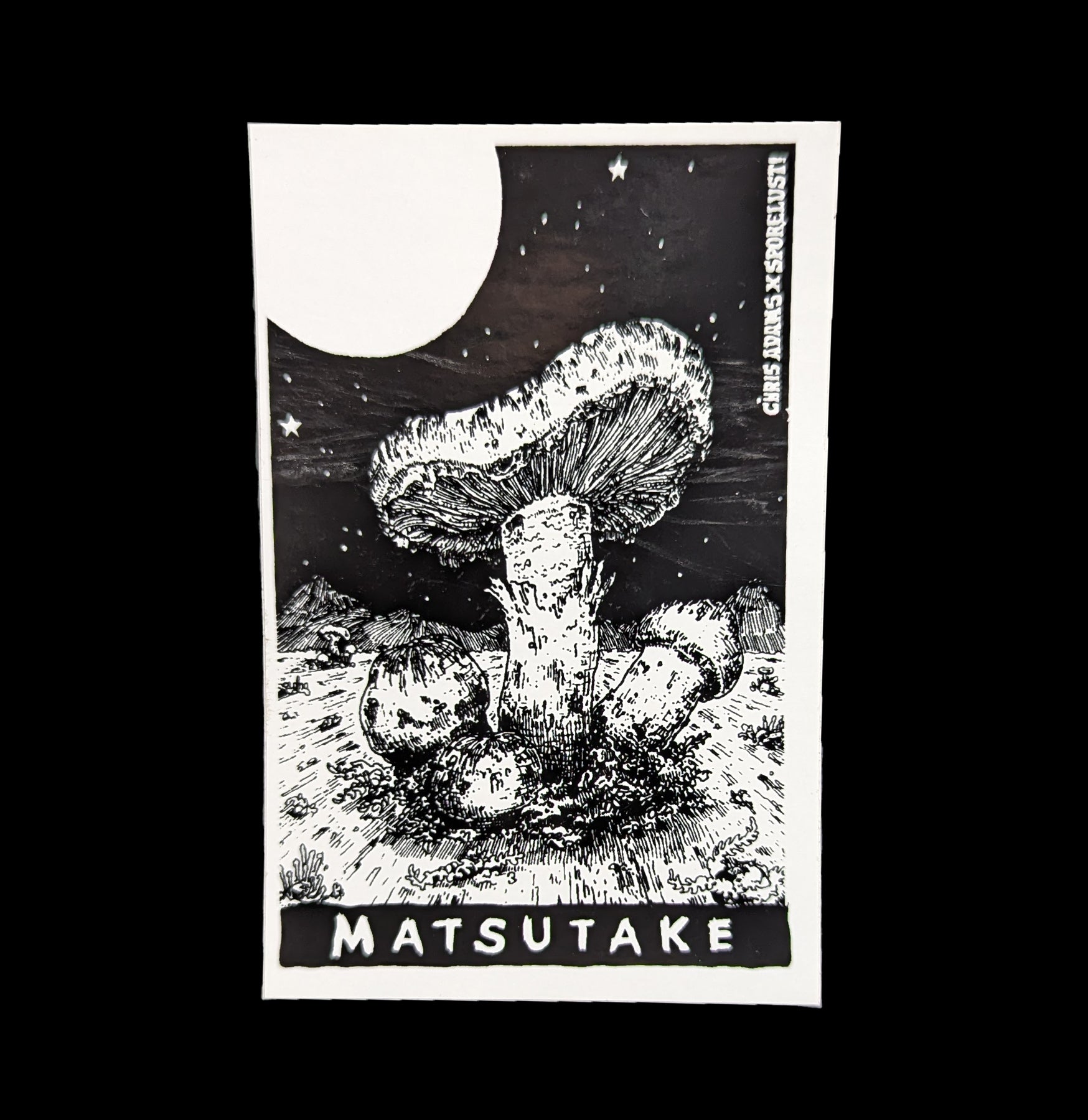 Premium Matsutake Mushroom Stickers - Waterproof Vinyl Decals for Laptops, Water Bottles & DIY Crafts - Perfect for Nature Lovers & Mushroom Enthusiasts