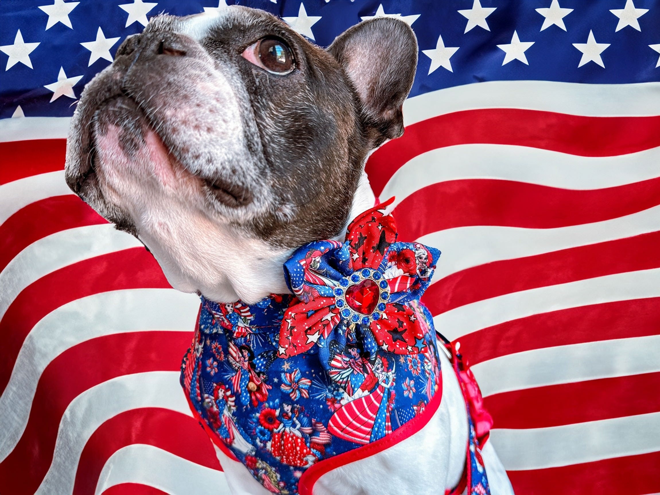 Patriotic Dog Collar with Flower Design - Red White & Blue 4th of July Pet Accessories for Small Medium Dogs - Perfect for Independence Day Celebrations, Parades & Photo Shoots