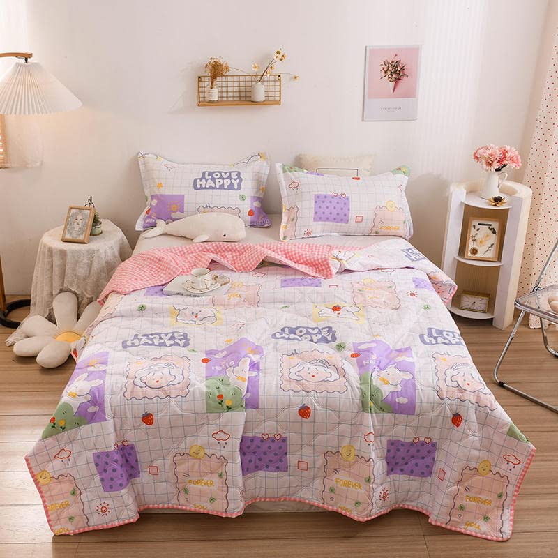YHWW Summer Quilt Set - Queen Size Cooling Comforter (200x230cm/79x90inch) for Adults & Kids, Machine Washable Lightweight Blanket - Perfect for Hot Weather, Bedroom & Guest Room Use