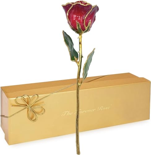 July (Birthstone Rose)