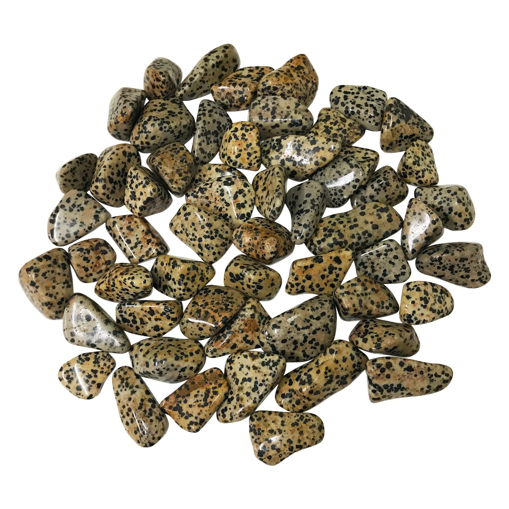 1 Lb Dalmatian Jasper Tumbled Stones - Bulk Healing Crystals for Meditation & Jewelry Making