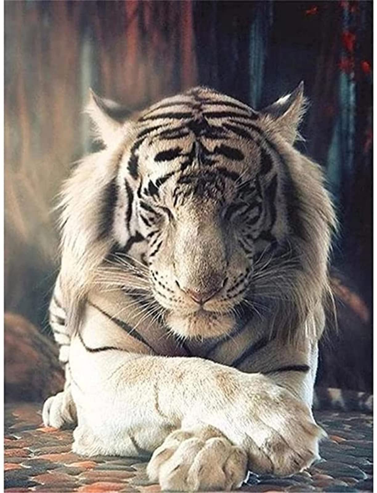 5D Diamond Painting Kit for Adults & Kids - Funny Sleeping Tiger 80x120cm Full Drill DIY Rhinestone Art, Cross Stitch Numbered Home Wall Decor (Perfect for Living Room, Bedroom & Gift Giving)