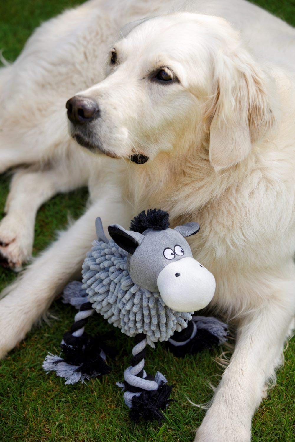 Farmyard Buddies Noodle Donkey Dog Toy - Durable Chew Toy for Small & Medium Dogs - Fun Interactive Plush Animal Toy for Playtime & Training - Perfect for Indoor & Outdoor Use