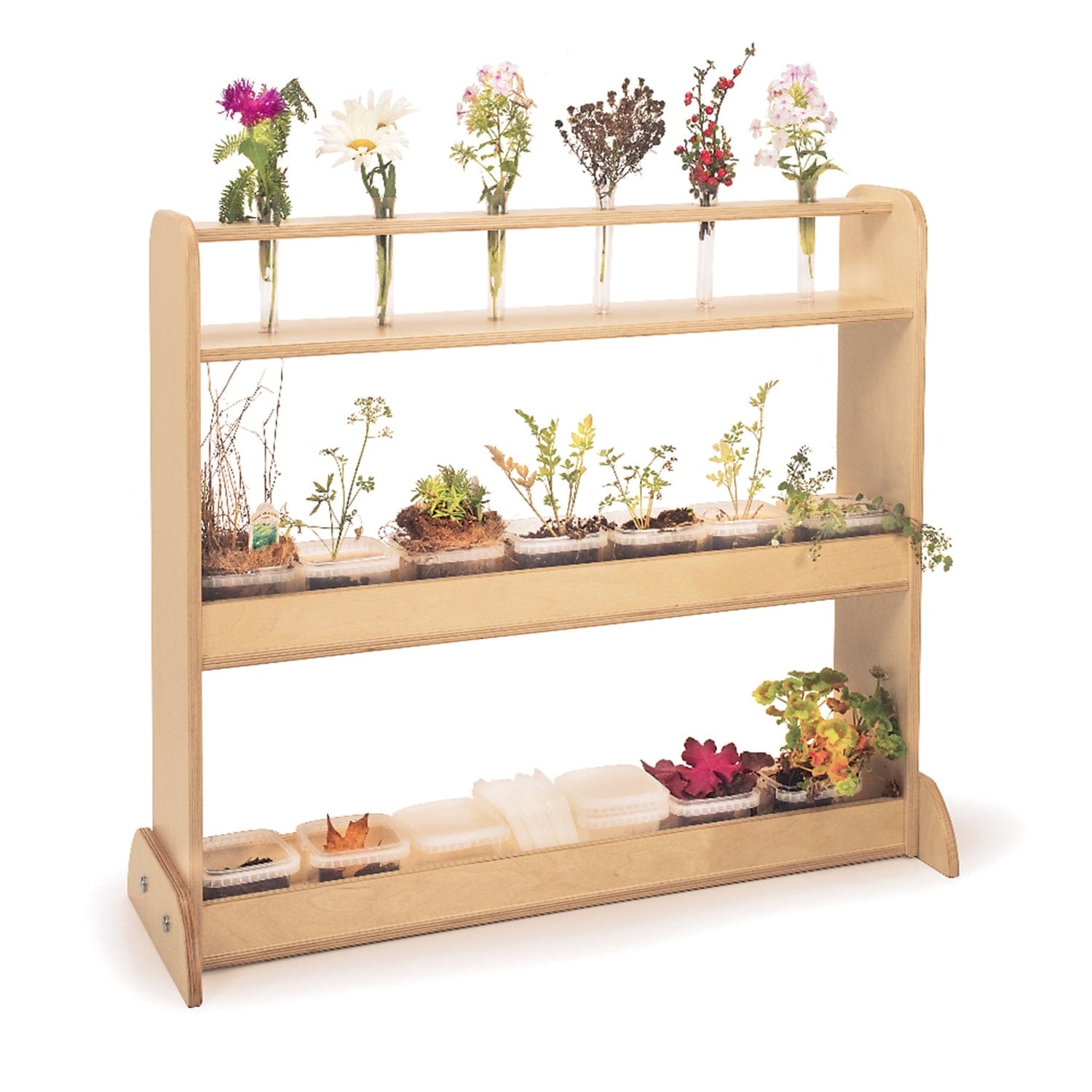Natural Wood Floating Shelves for Home Decor - Rustic Wall Shelves for Living Room, Bedroom, Bathroom - Easy Installation DIY Storage Shelves for Books, Plants, Photos | Perfect for Farmhouse, Modern & Boho Style Decor