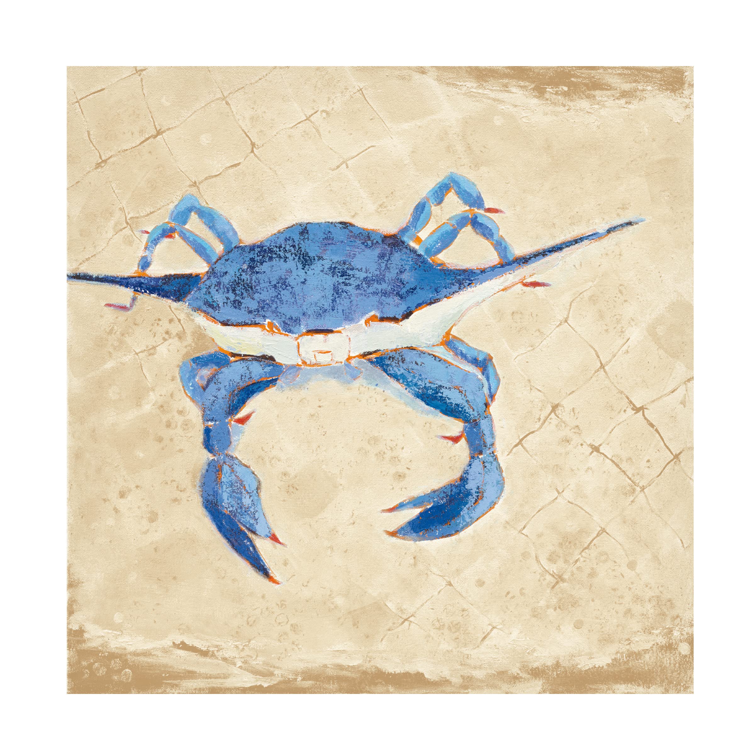 Blue Crab VI Neutral Canvas Wall Art by Phyllis Adams – Coastal Home Decor, Beach House Living Room & Kitchen Wall Art