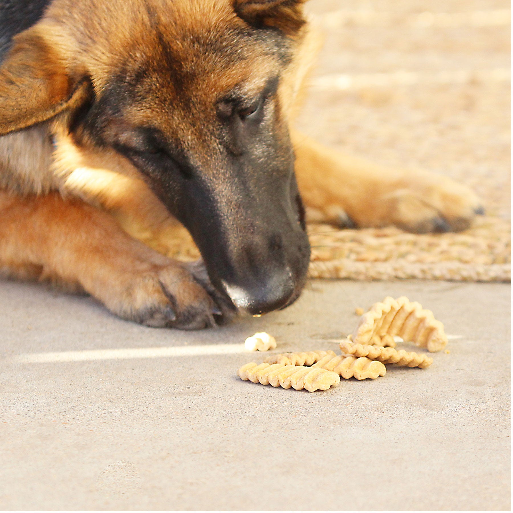 Wild Eats Sweet Potato Dog Treats - All Natural, Grain-Free Chews for Puppies & Adult Dogs - Perfect for Training, Rewards & Dental Health