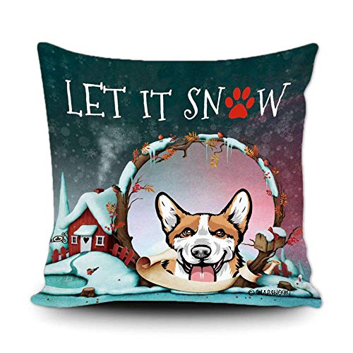 Pembroke Welsh Corgi-2