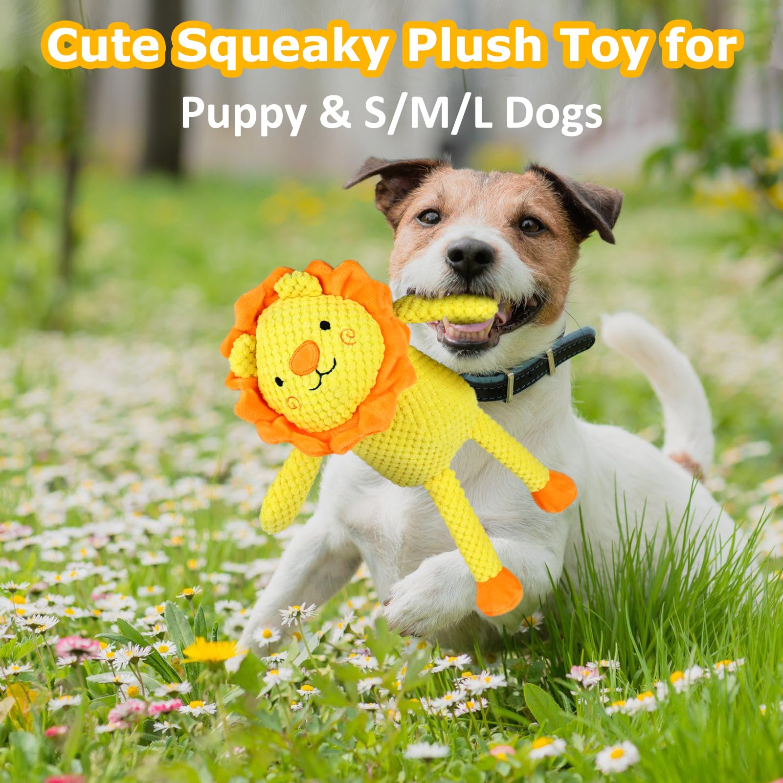 Durable Squeaky Plush Lion Dog Toy with Crinkle Paper - Interactive Chew Toy for Puppies & Small to Large Dogs - Perfect for Playtime, Training & Bonding
