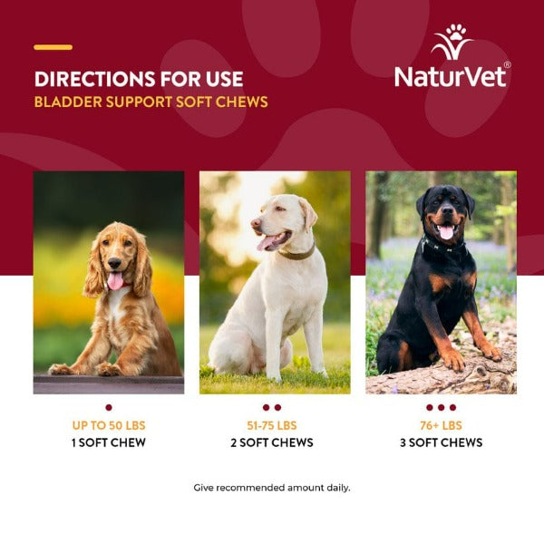 NaturVet Bladder Support Plus Cranberry Soft Chews for Dogs - Urinary Tract Health Supplement for Small & Large Breeds - Supports Healthy Bladder Function at Home or Travel