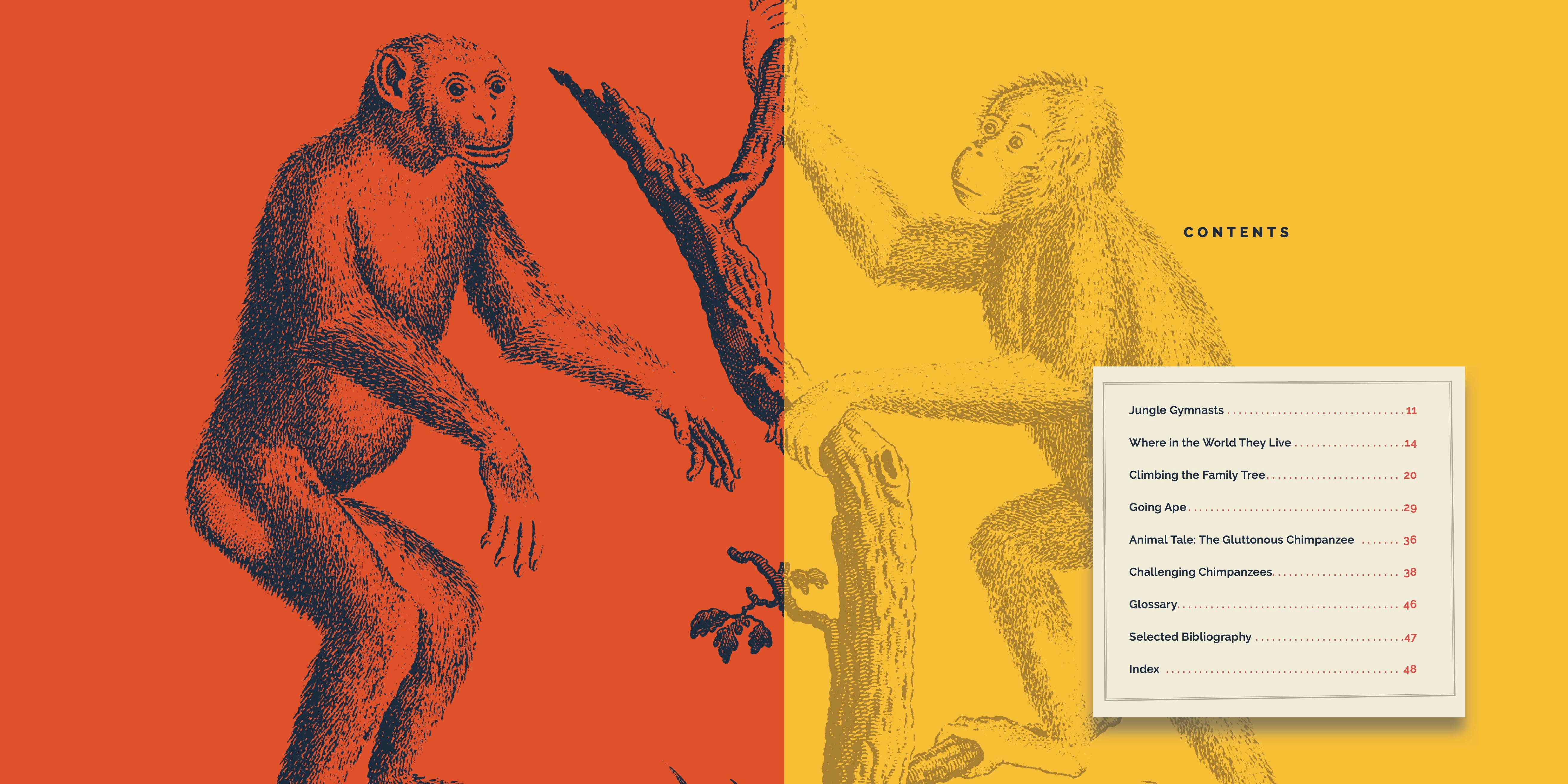 Chimpanzees Book 9781640267763 - Learn About Chimpanzee Behavior, Habitat & Conservation - Perfect for Animal Lovers & Science Enthusiasts