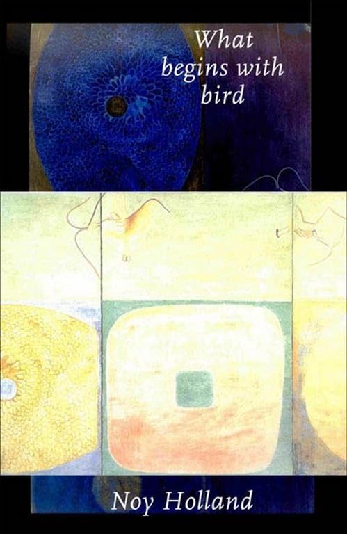 Best Bird-Themed Fiction Books for Adults - Engaging Novels & Short Stories for Bird Lovers | Perfect for Reading, Book Clubs & Nature Enthusiasts