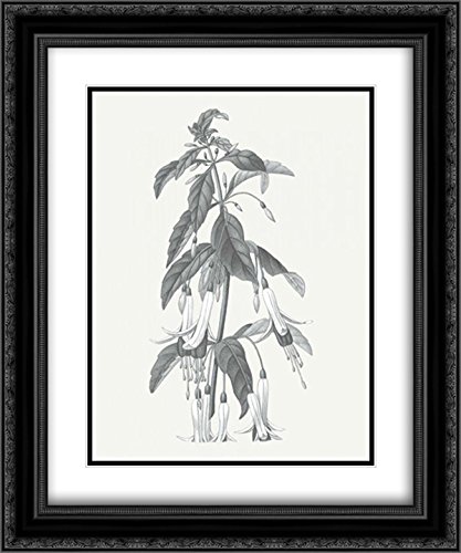 Wild Apple Botanical Art Print - 15x17 Inch Black Ornate Framed with Double Mat, Neutral Tone Museum Quality Wall Decor | Perfect for Living Room, Bedroom, Office & Gallery Display