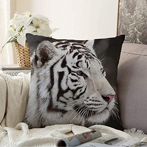 White Bengal Tiger