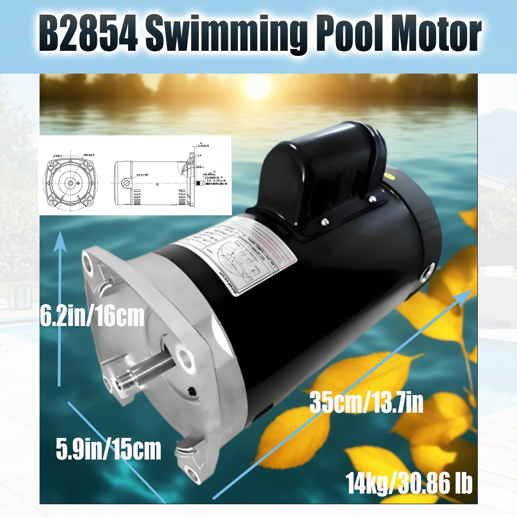 B2854 1.5 HP Pool Pump Motor - Compatible with Century/Smith Pumps | Square Flange, 3450 RPM, 230/115V, 8.0/16.0A, 56Y Frame, PSC, ODP Housing, 1.1 SF | 3-Year Warranty | Ideal for Inground & Above Ground Pool Maintenance
